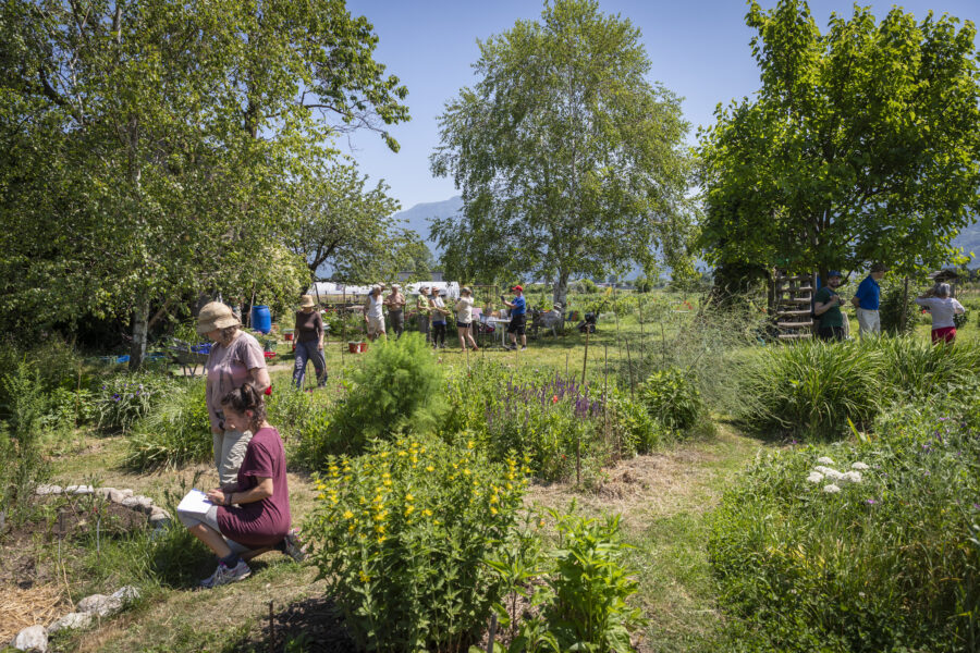 Festival della natura
