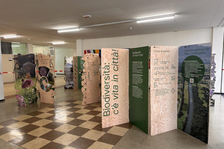 Scuole medie Canobbio